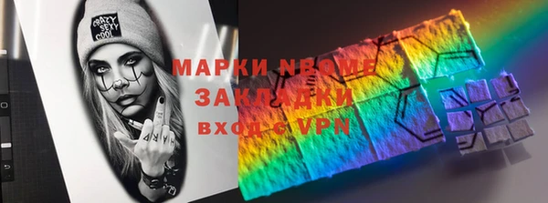 гидра Надым