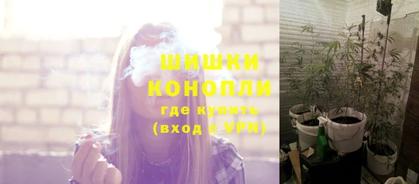 прущая мука Дмитриев