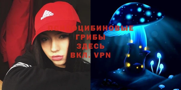 прущая мука Дмитриев