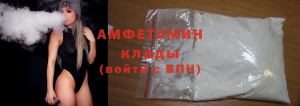 гидра Надым