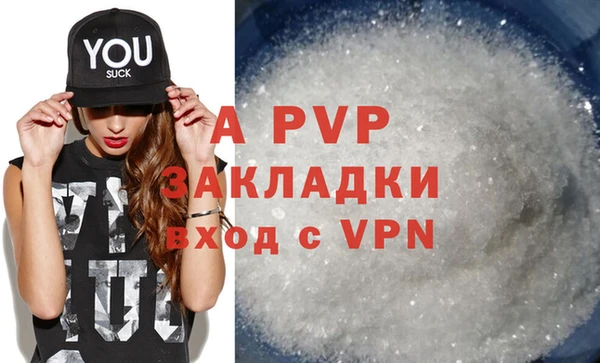 гидра Надым