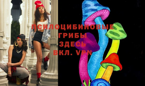 гидра Надым