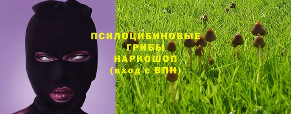 PSILOCYBIN Наволоки