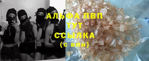 сатива Кедровый